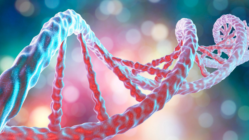 Grant to study genetics could improve lives of ARPKD patients