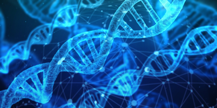 A picture of DNA strands, which make up genes. By Geralt, CC0, via Wikimedia Commons.