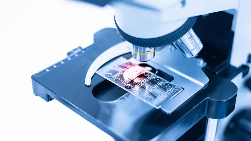 Defining progression of ADPKD and tolvaptan efficacy