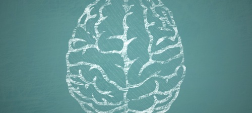 Drawing showing the outline of a brain in white against a green background