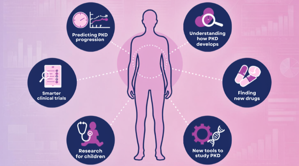What's happening in PKD research?