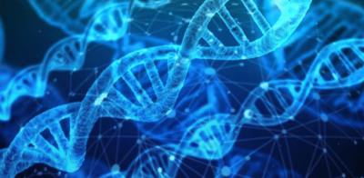 An illustration showing strands of DNA twisted together in a helix shape.