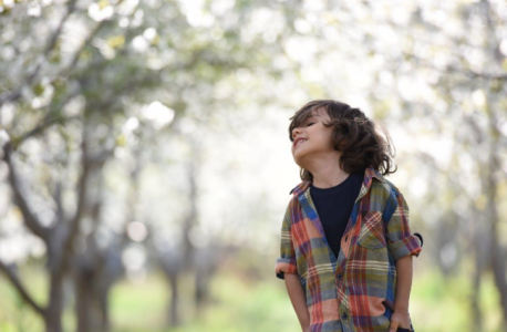 [Alt text: picture of a young boy in the countryside.] 