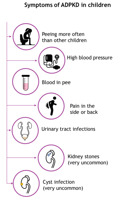A picture of the symptoms of ADPKD in children, as listed in the text above.